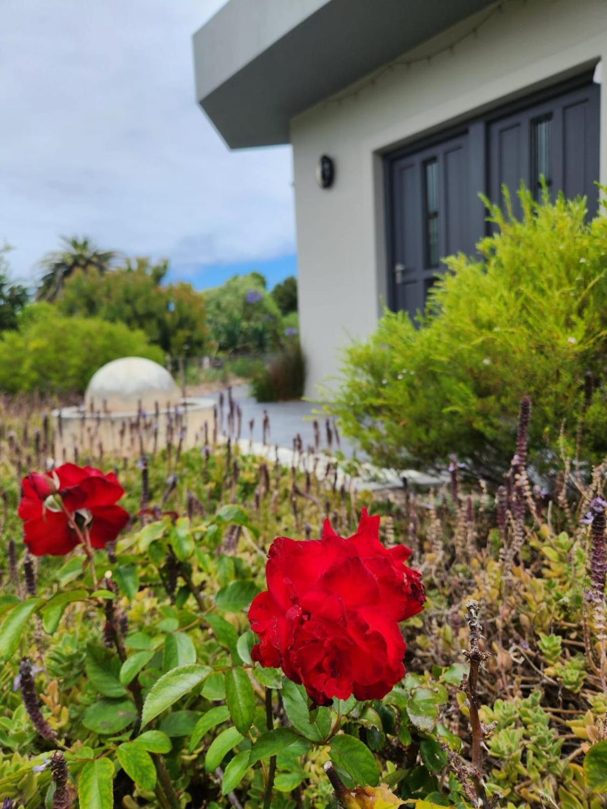 Moondust Near The Ocean, Food And Wine Villa Hermanus Exterior photo